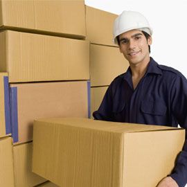 Shri Anand Cargo Mover Storage Warehouse in Delhi